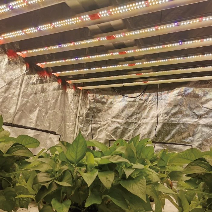 Sundro Sunplus S1000 PRO Horticulture Greenhouse Strips Lamp Full Sepctrum Dimmable Bar Plant 1000W LED Grow Light