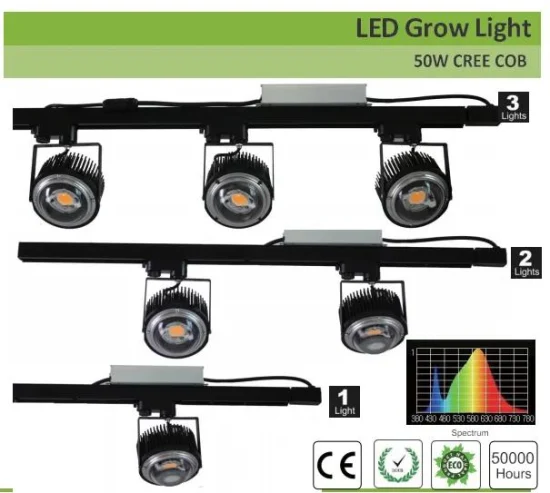 Factory 50W 100W Crees COB Cxb3590 LED Grow Light 3000K Full Spectrum for Greenhouse Plants LED Grow Light