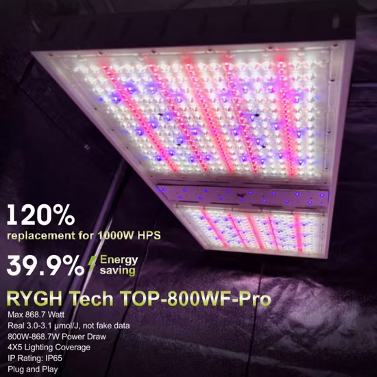 Horticulture Lighting Indoor Growing Hydroponics Plant Lamp Waterproof Vertical Farming Top Canopy Best Full Spectrum Red UV IR 600W 800W 1000W LED Grow Light