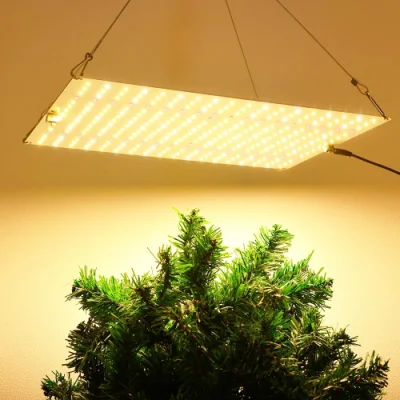 Dimmable LED Grow Light 1500W Full Spectrum Samsung Lm281b Plant Grow Light