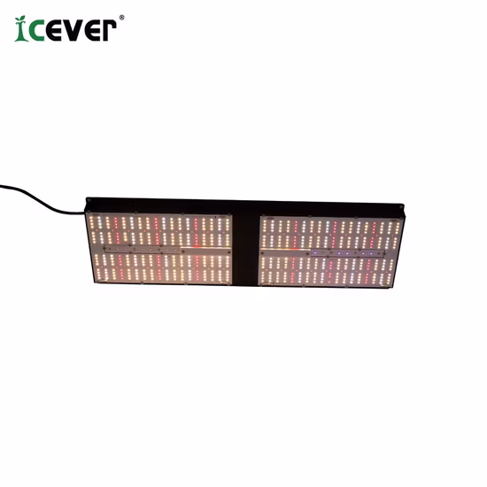 Redfarm Hydroponics System Indoor Growing System Commercial LED Grow Lights 1000W Bud Booster Light